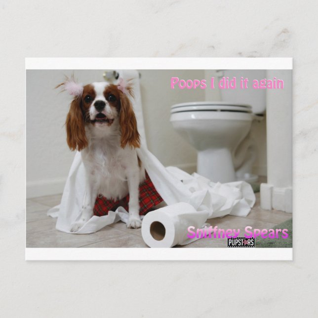 Snifney Spears Postcard Postkarte (Vorderseite)