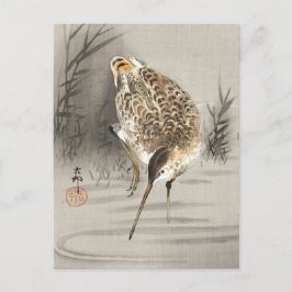 Snipe im Wasser, Ohara Koson japanische Kunst, Bir Postkarte