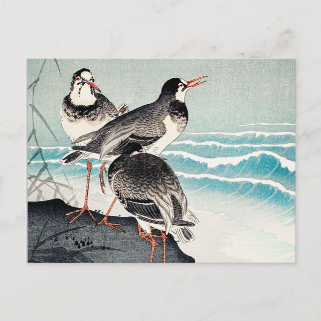 Snipes an der Küste, schöne Kunst von Ohara Koson Postkarte (Vorderseite)