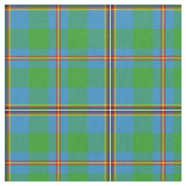 Snodgrass Tartan-Druck Stoff (Nahaufnahme)