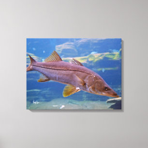 Snook Fish Canvas Print Leinwanddruck