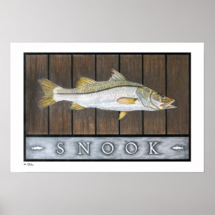 Snook Poster, Prints und Rahmen Poster