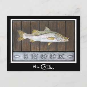 Snook Postkarten