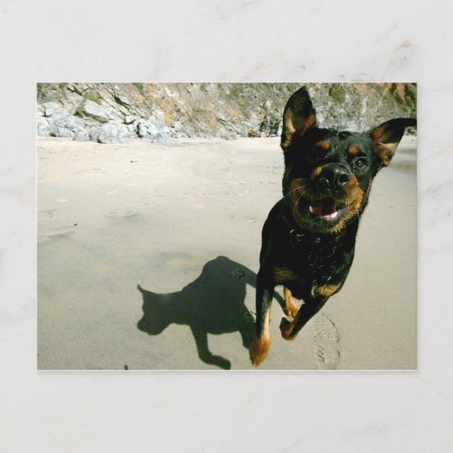 Snoop Postkarte (Vorderseite)