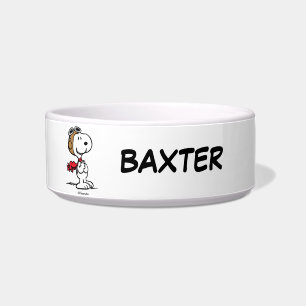 Snoopy Das fliegende Ass   Name des Begleiters hin Napf