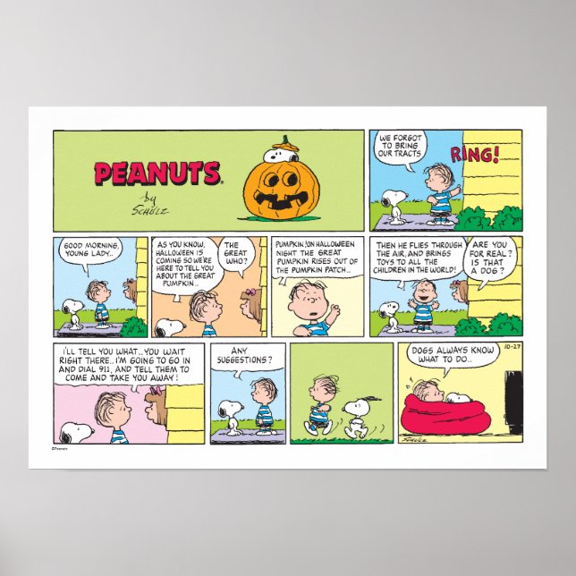 Snoopy & Linus | Die große Pumpkin-News Poster (Vorne)