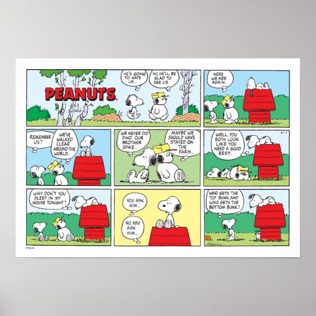 Snoopy & Seine Brüder Andy & Olaf Poster (Vorne)