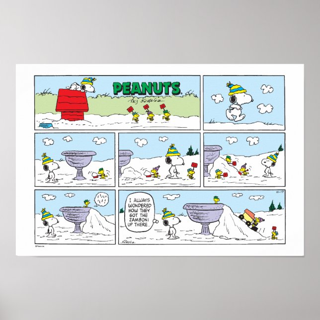 Snoopy und die Zamboni-Crew Poster (Vorne)