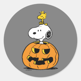 Snoopy & Woodstock Pumpkin Runder Aufkleber