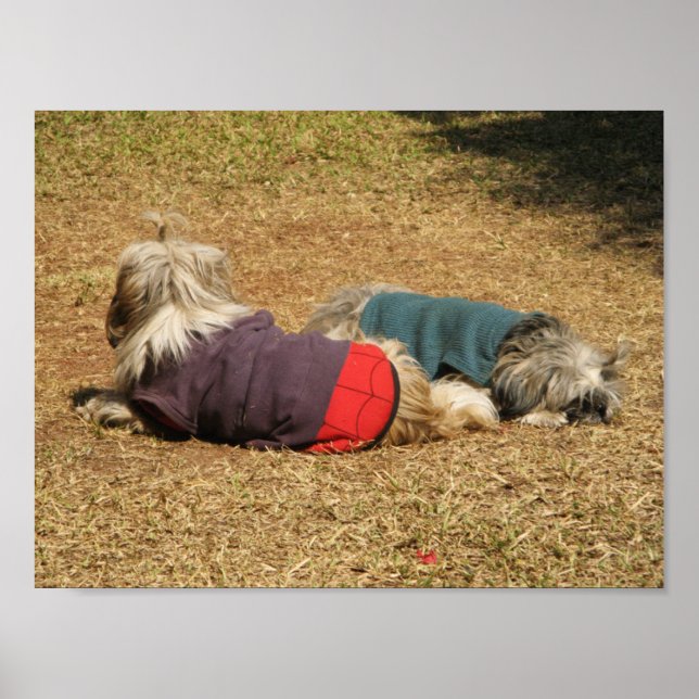 Snoozing in Nong Khai Poster (Vorne)