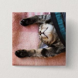 Snoozing Kätzchen Button