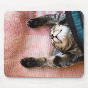 Snoozing Kätzchen Mousepad