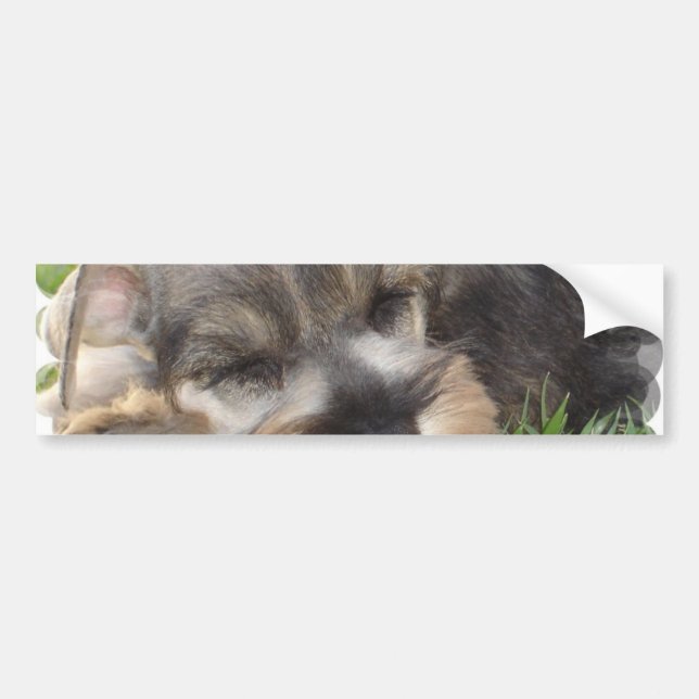Snoozing Schnauzer-Autoaufkleber Autoaufkleber (Vorne)