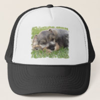 Snoozing Schnauzer-Baseball-Mütze