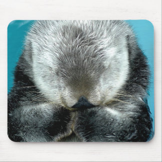 Snoozing Seeotter Mousepad