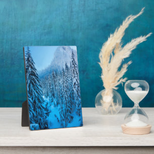 Snoqualmie Pass, Bundesstaat Washington. Fotoplatte