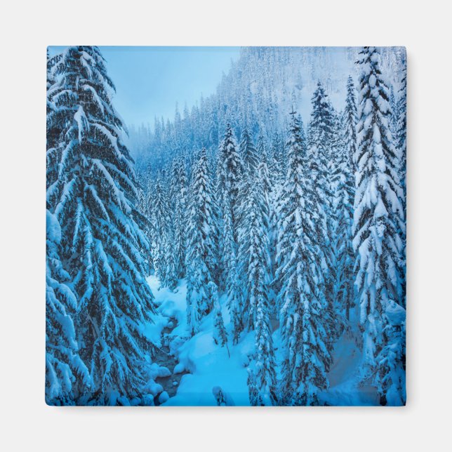 Snoqualmie Pass, Washington Staat. Magnet (Vorne)