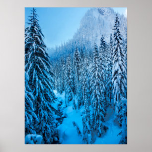 Snoqualmie Pass, Washington Staat. Poster