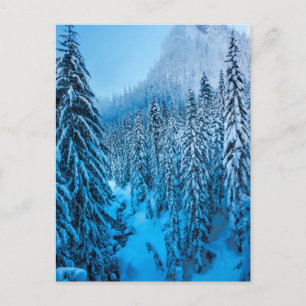 Snoqualmie Pass, Washington Staat. Postkarte