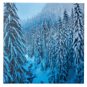 Snoqualmie Pass, Washington State. Fliese