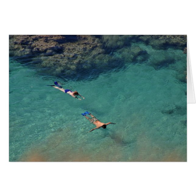 Snorklers 2 (Vorderseite (Horizontal))