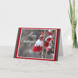 Snow and berries Christmas card Feiertagskarte