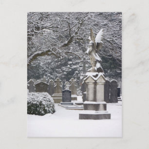Snow Angel Postkarte