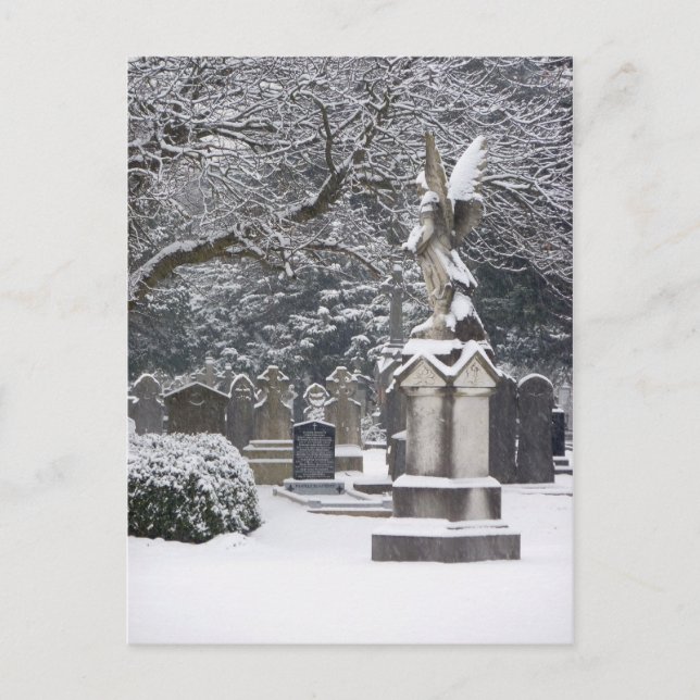 Snow Angel Postkarte (Vorderseite)