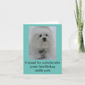 Snow Angels Coton Funny Birthday Card Karte