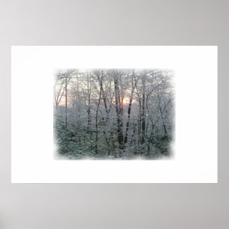 Snow at Dawn Poster