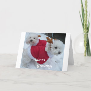 Snow Babys Feiertagskarte