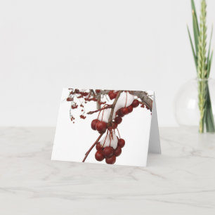Snow Berry Card Feiertagskarte