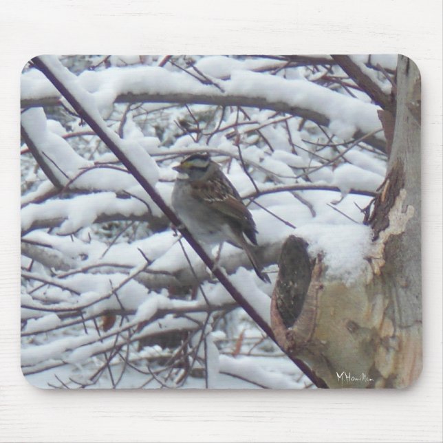 Snow Bird Mousepad (Vorne)