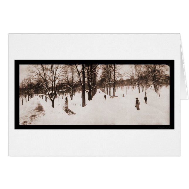 Snow Boston Common, MA Foto 1904 (Vorderseite (Horizontal))