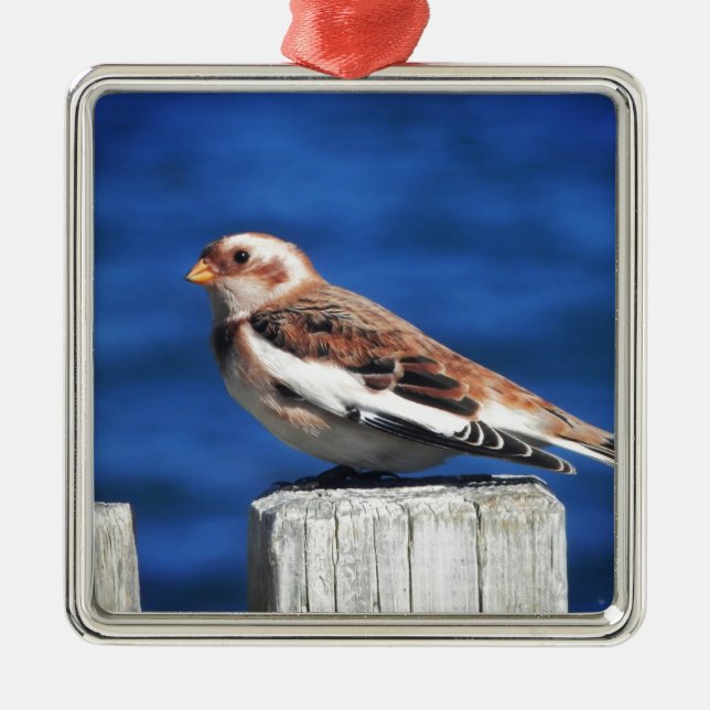 Snow Bunting Ornament Aus Metall (Vorne)