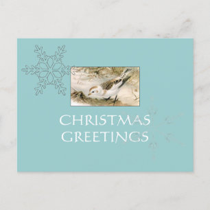 Snow-Bunting postcard Feiertagspostkarte