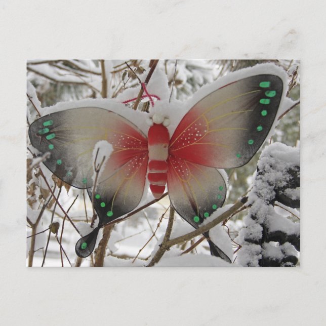 Snow Butterfly Postkarte (Vorderseite)