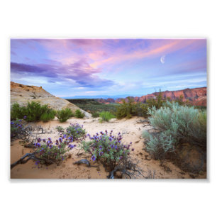 Snow Canyon Sunrise Wildblumen Landschaftliches Fo Fotodruck