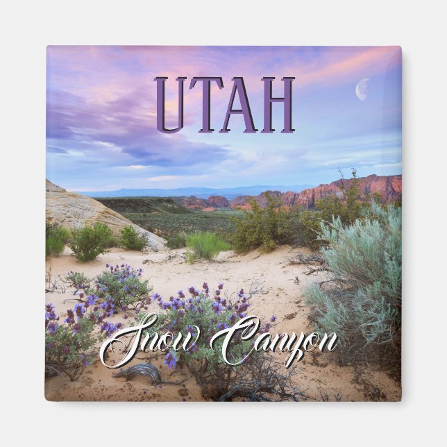 Snow Canyon Utah Magnet (Vorne)