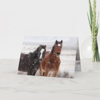 Snow Colts Greeting Card Einladung