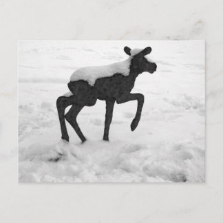 Snow Covered Baby Moose Postkarte