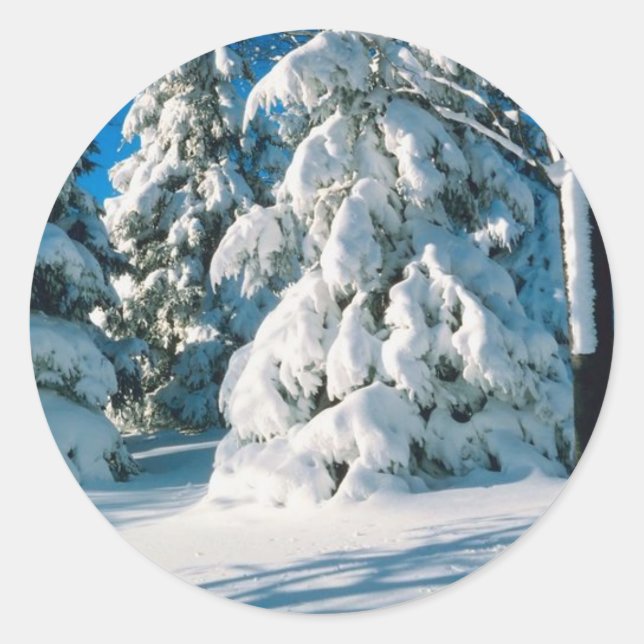 Snow Covered Evergreens Runder Aufkleber (Vorderseite)