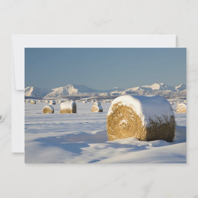 Snow-Covered Hay Bales (Vorderseite)