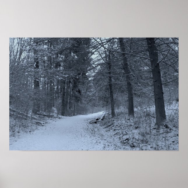 Snow Covered Hiking Trail 1 Poster (Vorne)