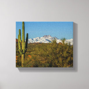Snow Covered Mountains Saguaro Cactus Arizona USA Leinwanddruck