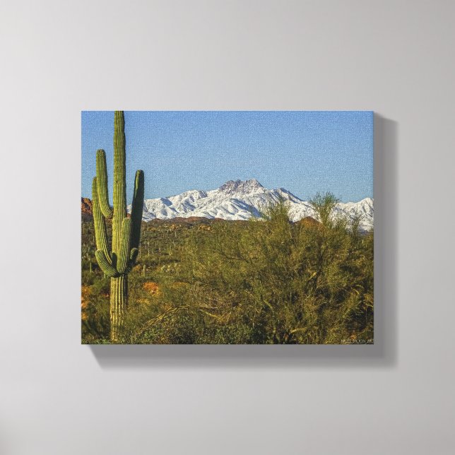 Snow Covered Mountains Saguaro Cactus Arizona USA Leinwanddruck (Vorderseite)