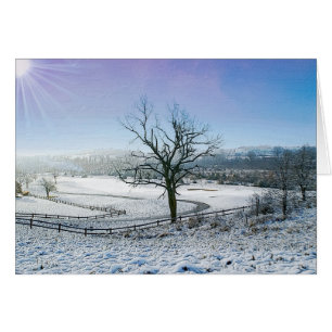 Snow Covered Ozark Hills