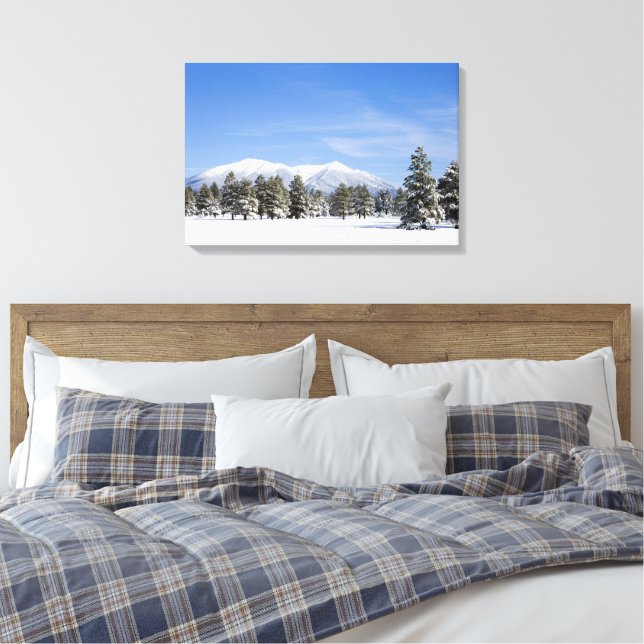 Snow Covered Prairie Pines und San Francisco Peaks Leinwanddruck (Insitu (Schlafzimmer))