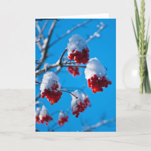 Snow covered rowan berries karte