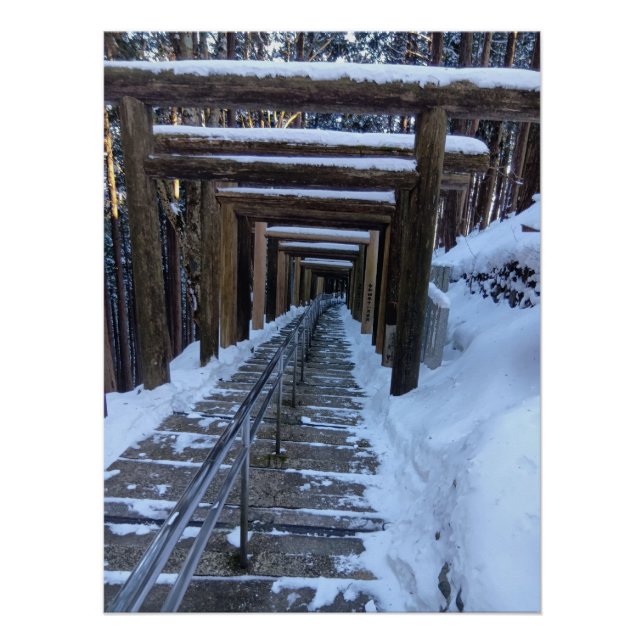 Snow-Covered Torii Path in a Remote Mountain Shrin Poster (Vorderseite)